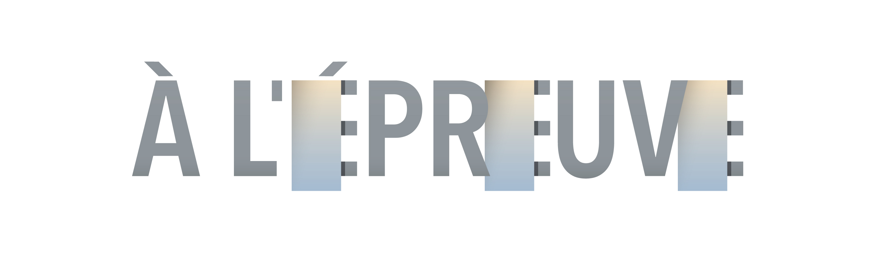 logo-accueil-pale-gris.jpg